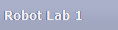 Robot Lab 1